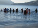Wrangellites polar bear swimming in Shoemaker Bay.